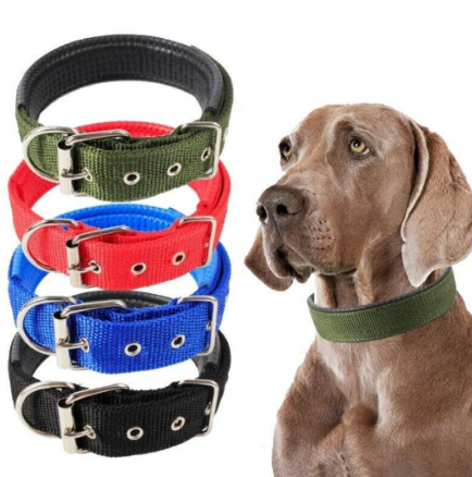 Collar
